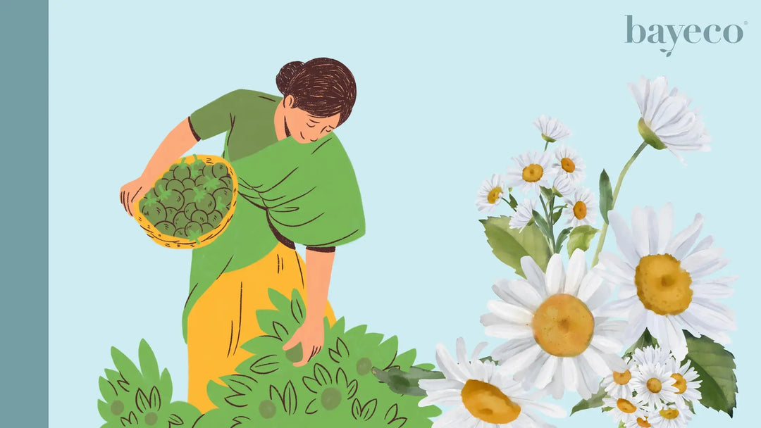 Australian Botanicals Your Skin Will Love